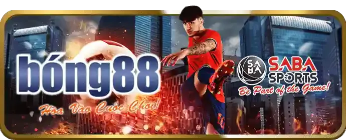 Dịch vụ chăm sóc khách hàng acb88 code